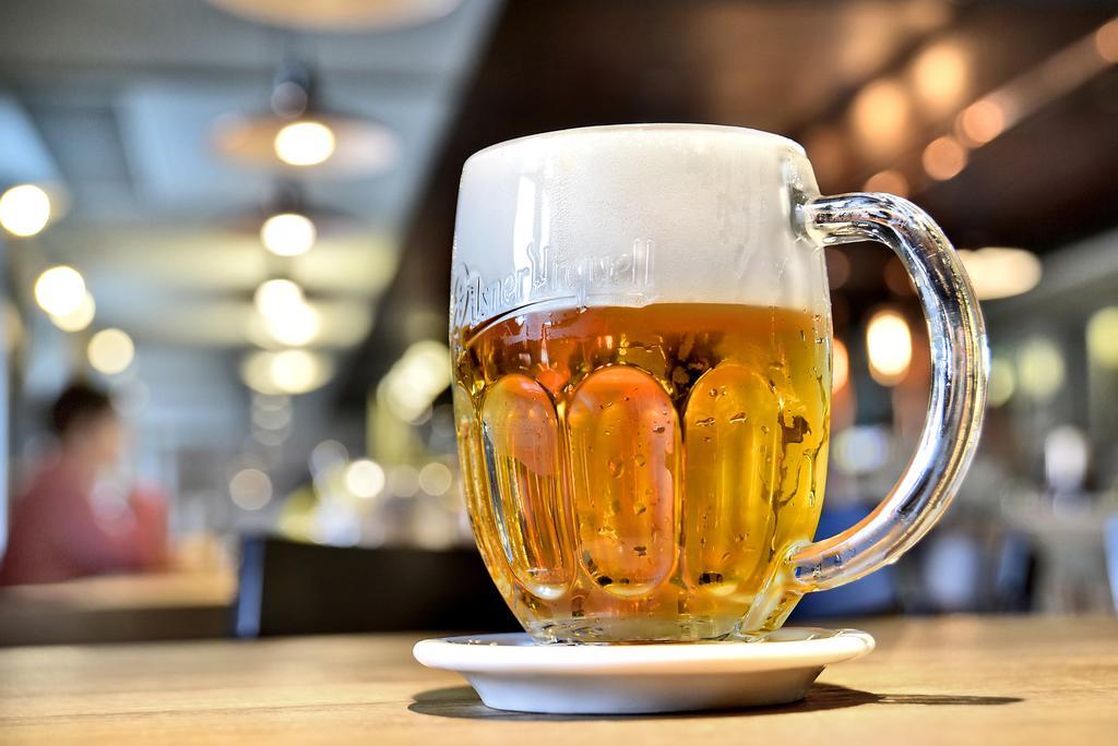 Hotel Restaurant Darwin Prague Ngoại thất bức ảnh